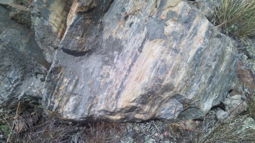 Гигантские зелёные валуны для ландшафтного дизайна весом более 5 тонн купить в Лянторе